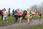 Senior girls 2019 New Balance English Schools Cross Country Champs, Temple Newsam, Leeds. Photo:  David T. Hewitson/Sports for All Pics